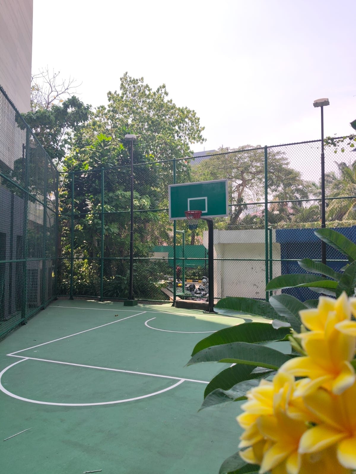 3-on-3 basketball court
